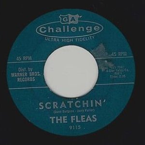 The Fleas 的头像