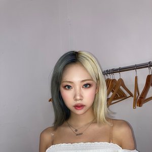 Dosie 的头像