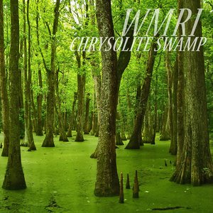 Chrysolite Swamp