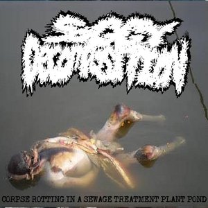 Corpse Rotting In A Sewage Treatment Plant Pond
