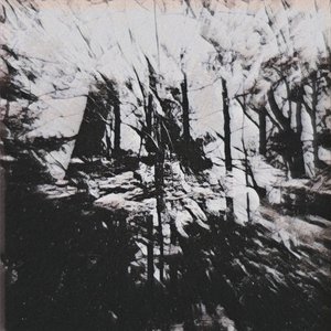 Hail the Marrow