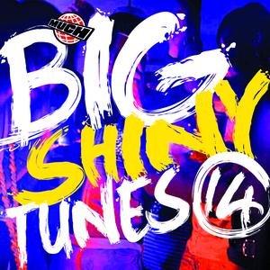 Big Shiny Tunes 14