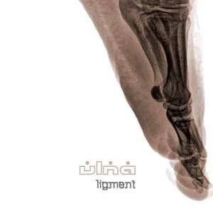 Ligment