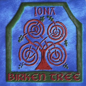 Birken Tree
