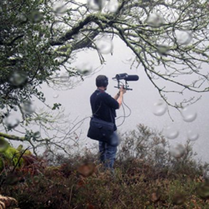 Toy Bizarre photo provided by Last.fm