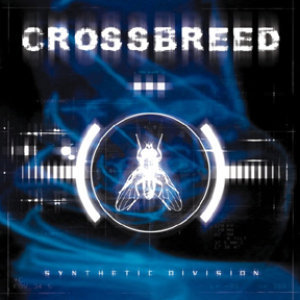 Synthetic Division cover