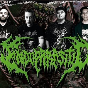 Endoparasitic 的头像