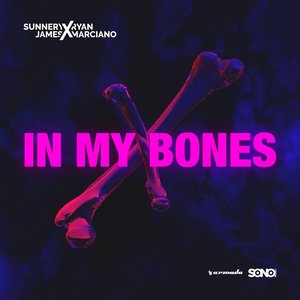 Sunnery James & Ryan Marciano - In My Bones - Zortam Music
