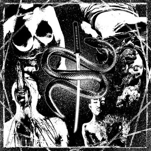 S/T