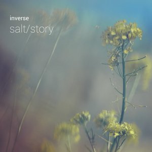 Salt / Story