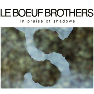 In Praise of Shadows