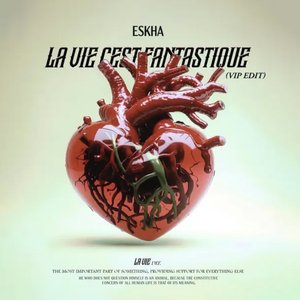 La Vie C'est Fantastique (VIP ÉDIT)