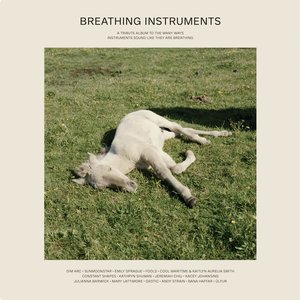 Breathing Instruments