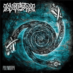 Polymorph cover