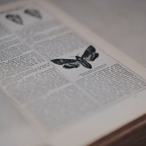 ILM 的头像
