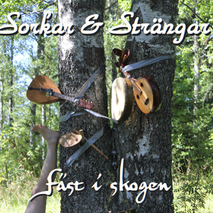 Fäst i skogen cover
