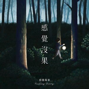 感覺沒果
