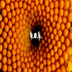Avatar for The Hive Of Knowers