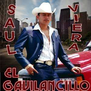 Аватар для Saul Viera "El Gavilancillo"