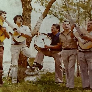 Los Cantores Del Valle 的头像