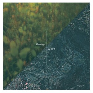 Flaamingos / The KVB Split EP