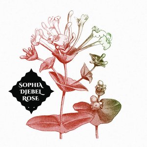 Sophia Djebel Rose