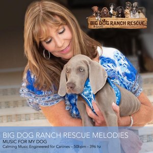 Big Dog Ranch Rescue Melodies