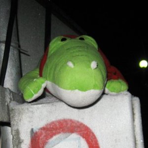 Avatar for Krikilo