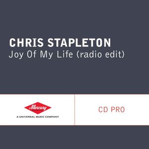 Joy Of My Life (Radio Edit)