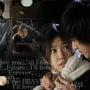 Avatar di Tree Of Heaven