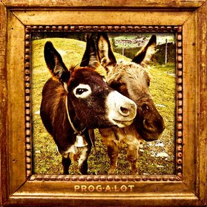 Prog-A-Lot