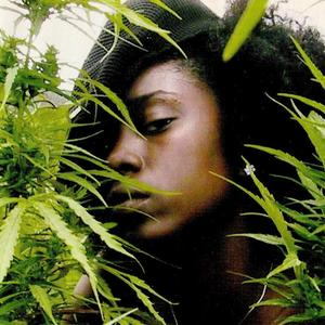 The Lost Skrolls of Hamaric photo provided by Last.fm