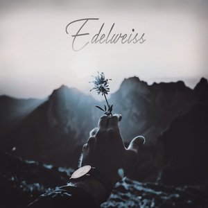Edelweiss