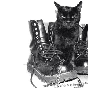Copycat