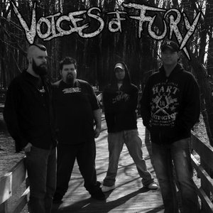 Image for 'Voices Of Fury'