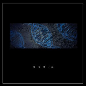 Simulation hypothesis
