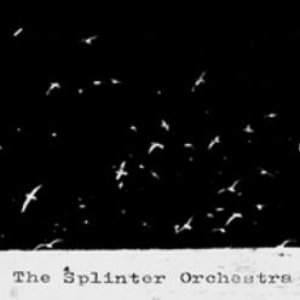 The Splinter Orchestra