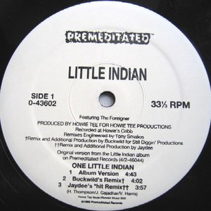 Image for 'Little Indian Ft The Foreigner'