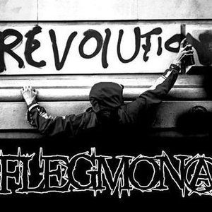 Flegmona 的头像