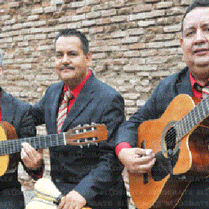 Trio Azteca 的头像