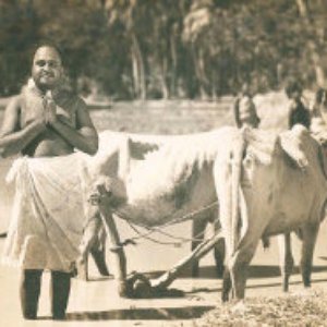 M. M. Dhandapani Desikar 的头像