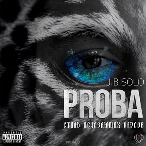 Стиль исчезающих барсов