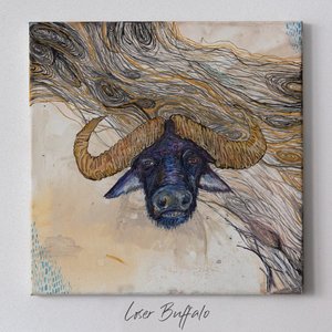 Loser Buffalo