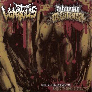 Supreme Engorgement Of Exquisite Disembowelment
