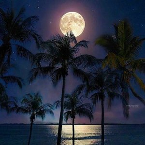 Moon - Single