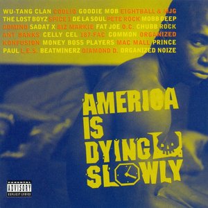Pete Rock & The Lost Boyz 的头像