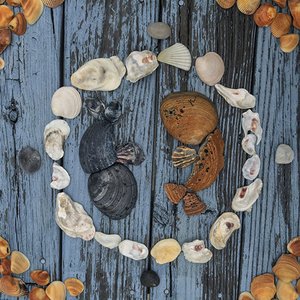 Belly of the Whale [Explicit]