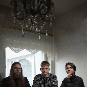 Image for 'Tiikerin vuosi'