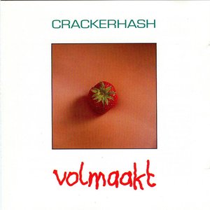 Volmaakt