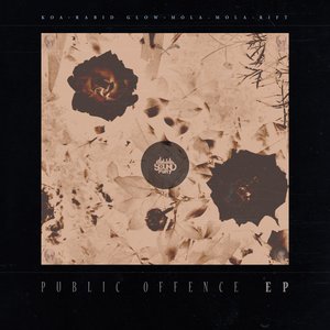 Public Offence EP